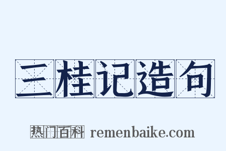 三桂记造句是什么意思的图片